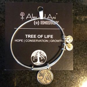 Alex and Ani charmed bangle NWT